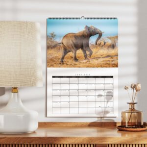 2025 Travel Calendar - Mockup 1