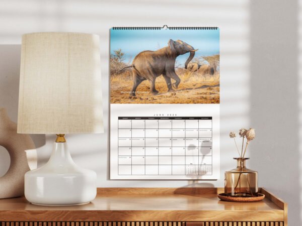 2025 Travel Calendar - Mockup 1